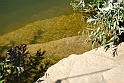 AVIGLIANA - LAGO GRANDE_083